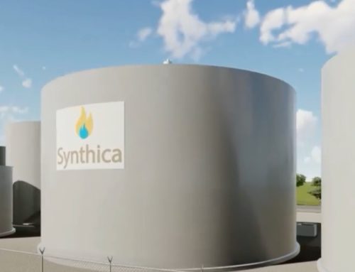 Synthica Releases Video Rendering of Synthica St. Bernard